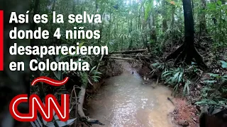 ¿Cómo es la selva de Colombia donde desaparecieron 4 niños tras un accidente de avioneta?