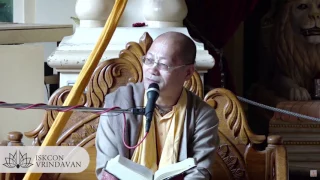 11.04.2017_H.H. Bhakti Anugraha Janardana Swami_Sri Krishna Vasanta Rasa