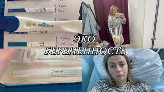 VLOG: ЭКО БЕРЕМЕННОСТЬ с 1 ДПП/ Полосатые ТеЕСТЫ/ ХГЧ/ГИПЕРСТИМУЛЯЦИЯ/Первый СКРИНИНГ/САМОЧУВСТВИЕ