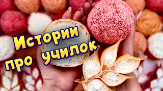 Истории про учителей 🤩 с  мылом и крахмалом 😊 от подписчиков 🌸