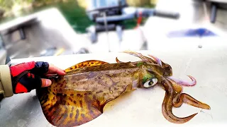 CRAZY Squid Session! I Caught Squid In A Snag?! Port Hacking River Fishing