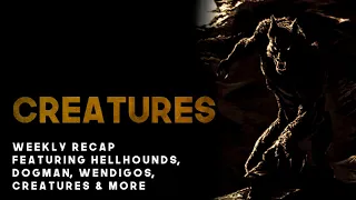 3 HOURS OF SCARY ENCOUNTS   DOGMAN, HELLHOUNDS, WENDIGOS, CREATURES  MORE   What Lurks Beneath