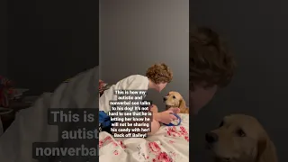 Autistic and nonverbal teen speaks to his dog without words! #autism #nonverbal #fortheloveofgabe