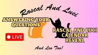 500 Subs Celebration Answering YOUR Questions: Rascal and Luci Calendar Reveal