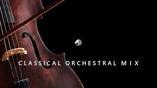 Classical Orchestra Mix | Gentleman of Sadness