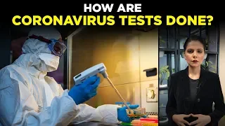 All You Need To Know About Coronavirus Testing | NewsMo