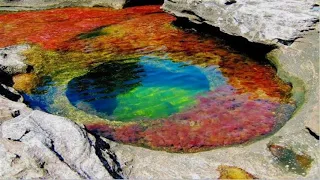 Relaxing music + Beautiful nature - Caño Cristales