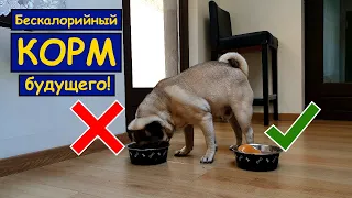 Игрушки с запахом МЯСА !!! "КОРМ для собак ПРЕМИУМ класса!!!" Корм или натуральная еда для собак.