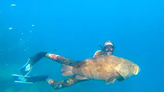 Spearfishing Stradbroke Island / Moreton Bay 2023