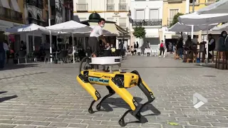 Boston Dynamics Dog meets cafe goers in Seville || Viral Video UK