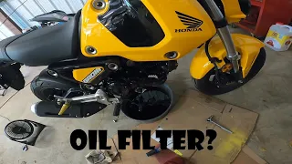 Full Oil Change on 2022 Honda Grom | Filter Replacement (First Oil Change)
