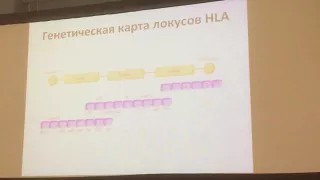 Иммунология. Главный комплекс гистосовместимости 1.