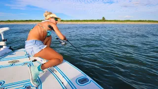 Florida BEACH FISHING for Massive Tarpon & Blacktip Sharks