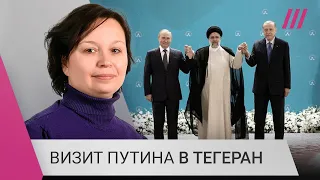 «Переговоры с Эрдоганом всегда приводят к результату»: востоковед о визите Путина в Тегеран