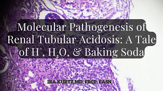 Molecular Pathogenesis of Renal Tubular Acidosis: A Tale of H+, H2O, & Baking Soda | Ira Kurtz M.D.