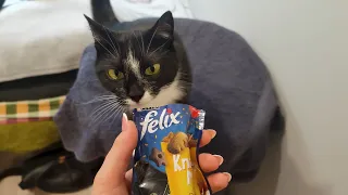 It's Time For Cat Treats!