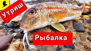 Утриш рыбалка Rockfishing 4K / Морская рыбалка с берега на спиннинг