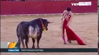В Испании на глазах у миллионов зрителей, бык убил тореадора