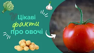 Цікаві факти про овочі! ч.1