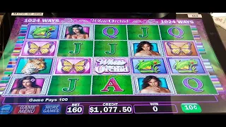 White Orchid🦋🐸🐆 up to $80 Spins with 3 Jackpot Handpays. Choctaw Durant Sky Tower High Limit bar🍸