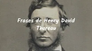 Frases de Henry David Thoreau