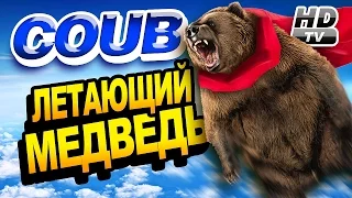 Смотри лучшее - Coub HD #20 - Летающий медведь - Flying bear