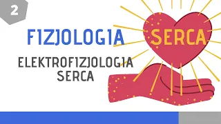 Fizjologia układu krążenia cz. 2: Elektrofizjologia serca