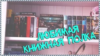 Книжные полки 4 || Любимая полка!