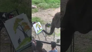 Elephant Paints a Picture || ViralHog