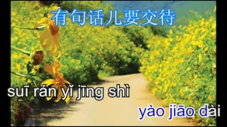 Lu bian de ye hua bu yao cai - 路邊的野花不要採 - karaoke