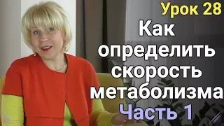 Как определить скорость метаболизма при Похудении. Часть 1. ЕЛЕНА СТЕПАНОВА. ( Урок 28 )