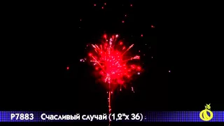 Р 7883 Счастливый случай 1,2 х 36