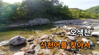 [4K UHD] 새로운 계곡 낚시 포인트 탐사 - 오색천 | Exploring New Cherry Trout Sport in Korea