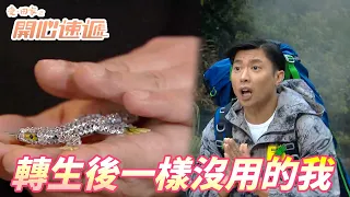 【愛．回家之開心速遞精華短片】原來轉生輪回不一定要靠貨車司機！！但沒想到轉生後的我一樣的廢啊！！| 劉丹、呂慧儀、單立文、滕麗名、周嘉洛