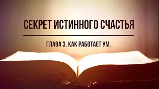 Кинслоу - Секрет истинного счастья. Как работает ум. Глава 3. Аудиокнига, читает Nikosho.