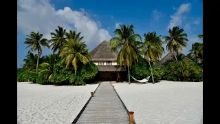 Mirihi Island Resort -  Maldives 2024