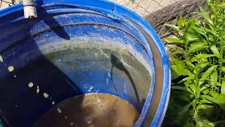 Voda v nasej zahrade Vermicaj