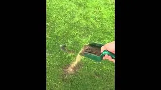 Divot repairing