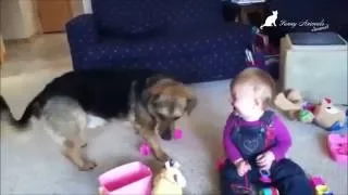 Дети и собаки. Дети играют с собаками. Смешные животные. Dogs and Child. Funny Animals