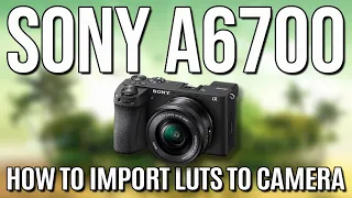 SONY A6700 | HOW TO IMPORT LUT's & "FILE CANNOT BE LOADED" FIX ! ( +FREE LUT )