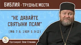"Не давайте святыни псам" (Мф. 7:6; 1Кор. 5:9-12)?  Протоиерей Олег Стеняев