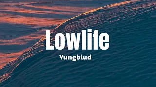 Lowlife - Yungblud (Lyrics)