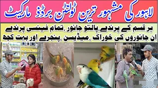 Tollinton Market Lahore | Birds Market | Asia largest birds,pets,parrot market in Lahore |Bird price