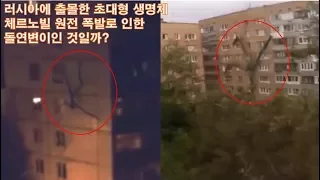 러시아에 출몰한 초대형 괴생명체 돌연변이?  massive mutant of super massive creatures in Russia