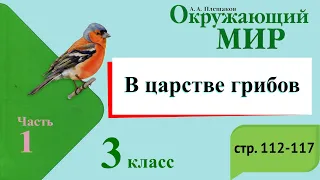 В царстве грибов. Окружающий мир. 3 класс, 1 часть. Учебник А. Плешаков стр. 112-117