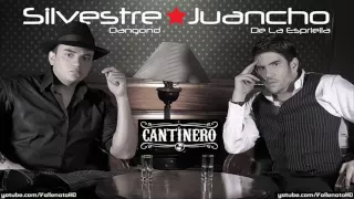 Silvestre Dangond - Cantinero (Con Letra) - *Vallenato 2010*