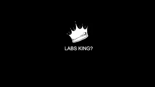 LABS KING?