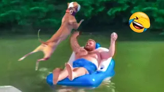 Funniest Dog Videos 🐶😹 - Funniest Animals 2023 | Pets Island