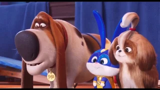 The Secret Life Of Pets 2 (2019) Hu In Pop’s Apartment [Widescreen]