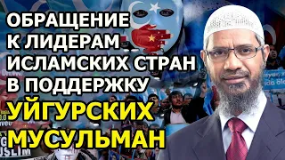 Обращение Закира Найка к исламским правителям в поддержку УЙГУРСКИХ МУСУЛЬМАН!